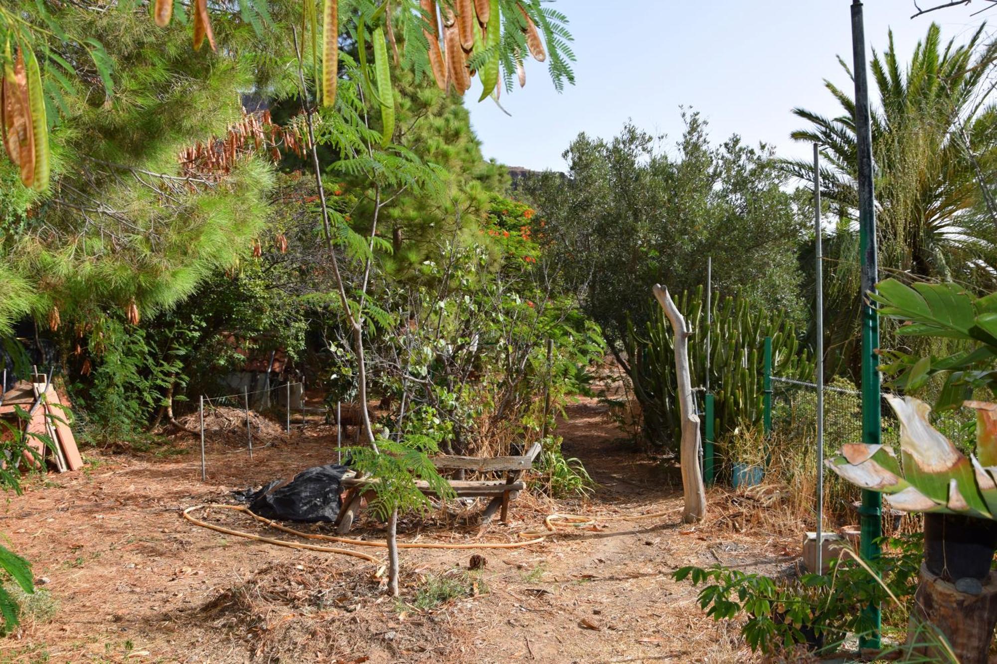 La Casa De Los Pinos Temisas Ngoại thất bức ảnh