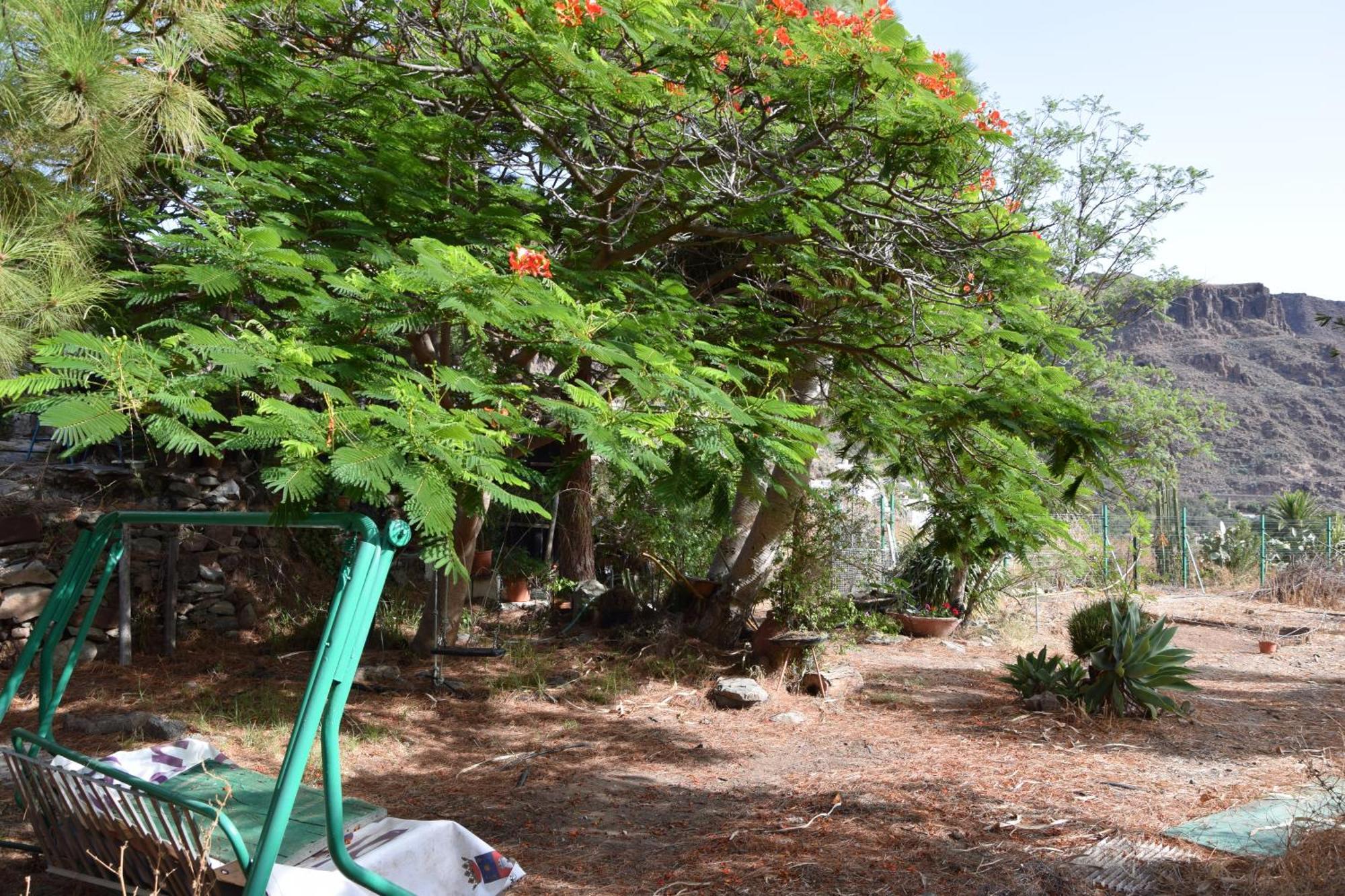 La Casa De Los Pinos Temisas Ngoại thất bức ảnh